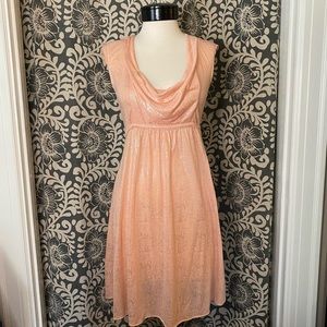 Eva Franco dress size 4